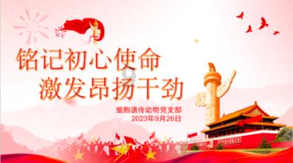 最全面的